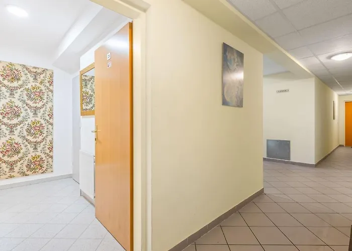 Ballroom - Parking Option - Netflix * Viena